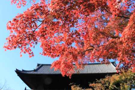 南禅寺の紅葉2019