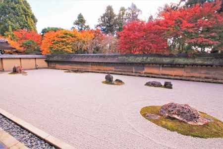 龍安寺の紅葉2019