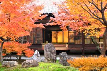 建仁寺の紅葉2019