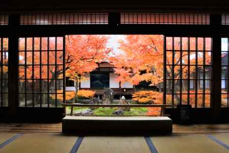 建仁寺の紅葉2019-2