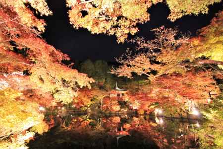 醍醐寺の紅葉ライトアップ2021