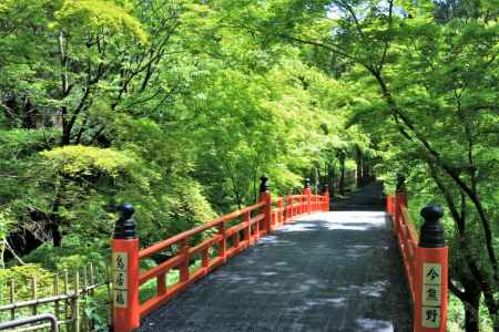 今熊野観音寺の新緑