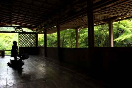 高山寺みどり