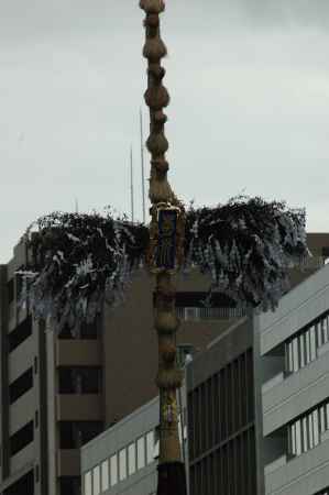 菊水鉾の榊