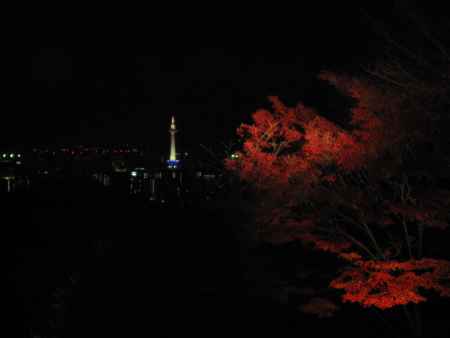 浮かび上がる紅葉と京都タワー