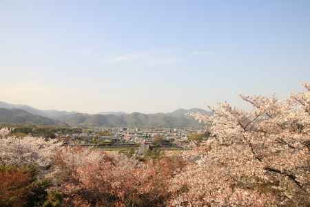 春の法輪寺からの眺め