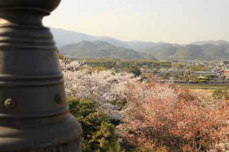 法輪寺からの眺め