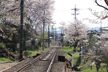 嵐電北野線の日常風景