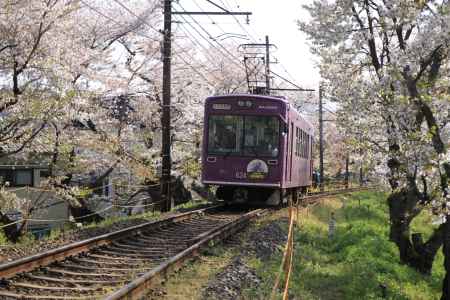 春の嵐電北野線