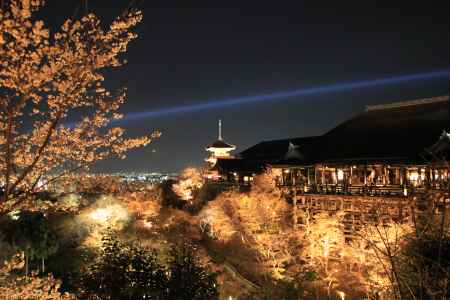 清水寺の桜ライトアップ