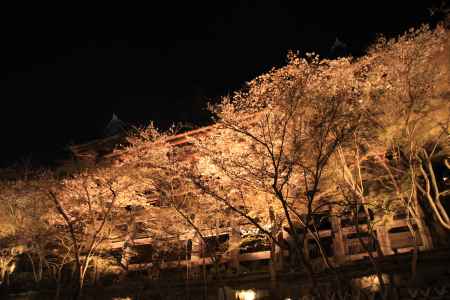 下から見上げる清水寺