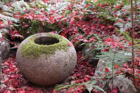 水瓶と苔と落葉のコラボ