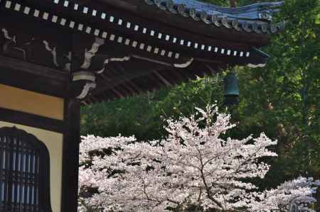 春の南禅寺法堂