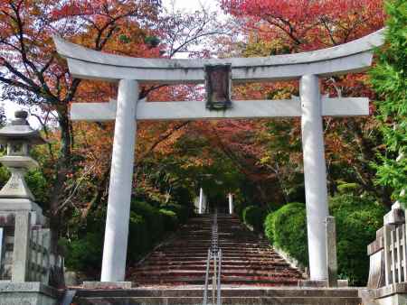 秋の宗忠神社