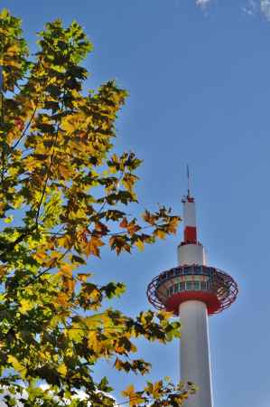 秋の京都タワー