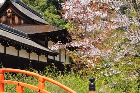 春の下鴨神社