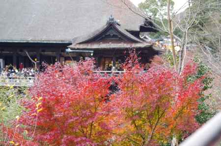 2012清水寺と紅葉