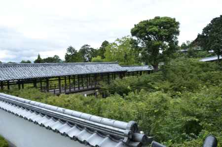 東福寺通天橋を望む