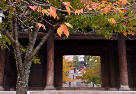 金戒光明寺・紅葉