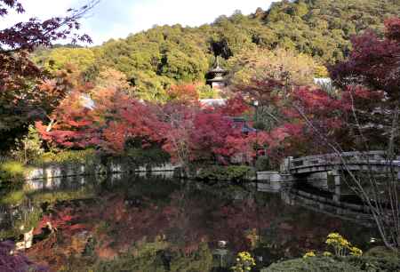 永観堂・紅葉２０１３（２）