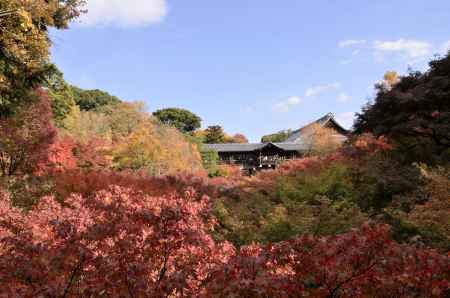 東福寺・紅葉２０１３（１）