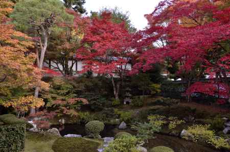 泉涌寺・紅葉２０１３（１）