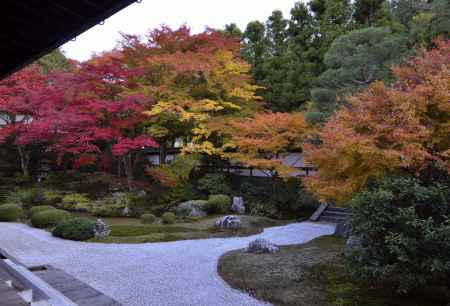 泉涌寺・紅葉２０１３（２）