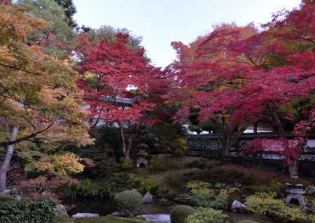 泉涌寺・紅葉２０１３（３）