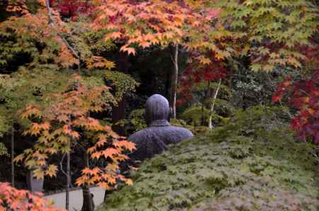 今熊野観音寺・紅葉２０１３（３）