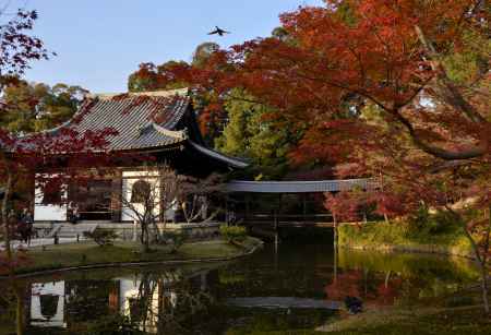 高台寺・臥龍池を望む