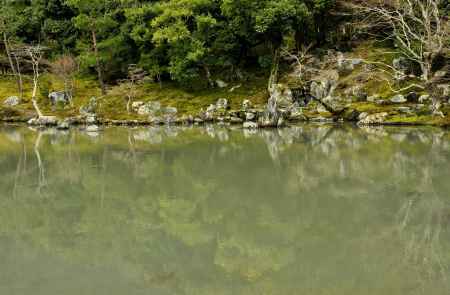 緑の映り込み（曹源池・天龍寺）