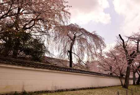 醍醐の桜・霊宝館