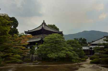 鹿王院・法堂を望む