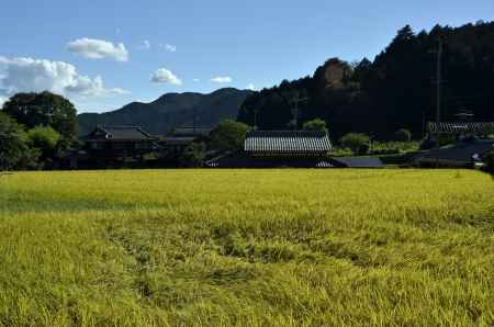 里の秋