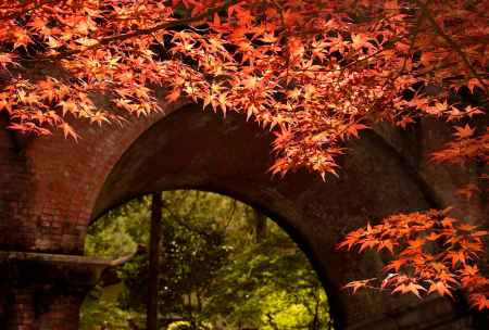 もう紅葉してます（9月27日）