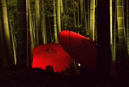 竹林と赤の番傘