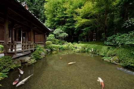 四方正面の池