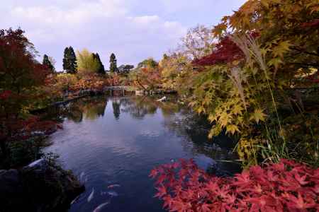 紅葉の始まり