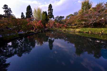 こちらも紅葉が始まりました