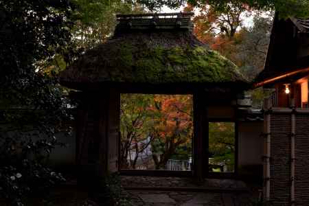 薄暮の安楽寺