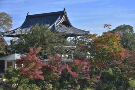 善峯寺（３）