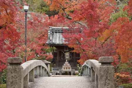 永観堂・紅葉２０１７（７）