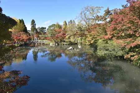 永観堂・紅葉２０１７（１５）