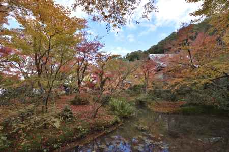 圓光寺２０１７（５）