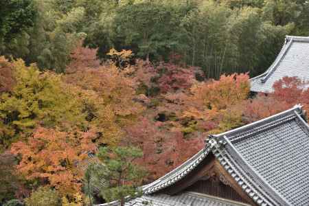 圓光寺２０１７（８）