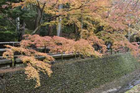 北野天満宮御土居２０１７（６）