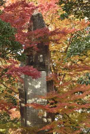 南禅寺・紅葉２０１７（９）