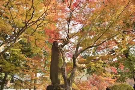 南禅寺・紅葉２０１７（１２）