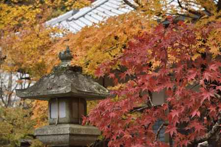 南禅寺・紅葉２０１７（１５）