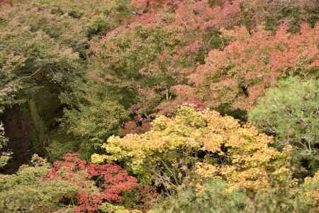 東福寺・紅葉２０１７（５）